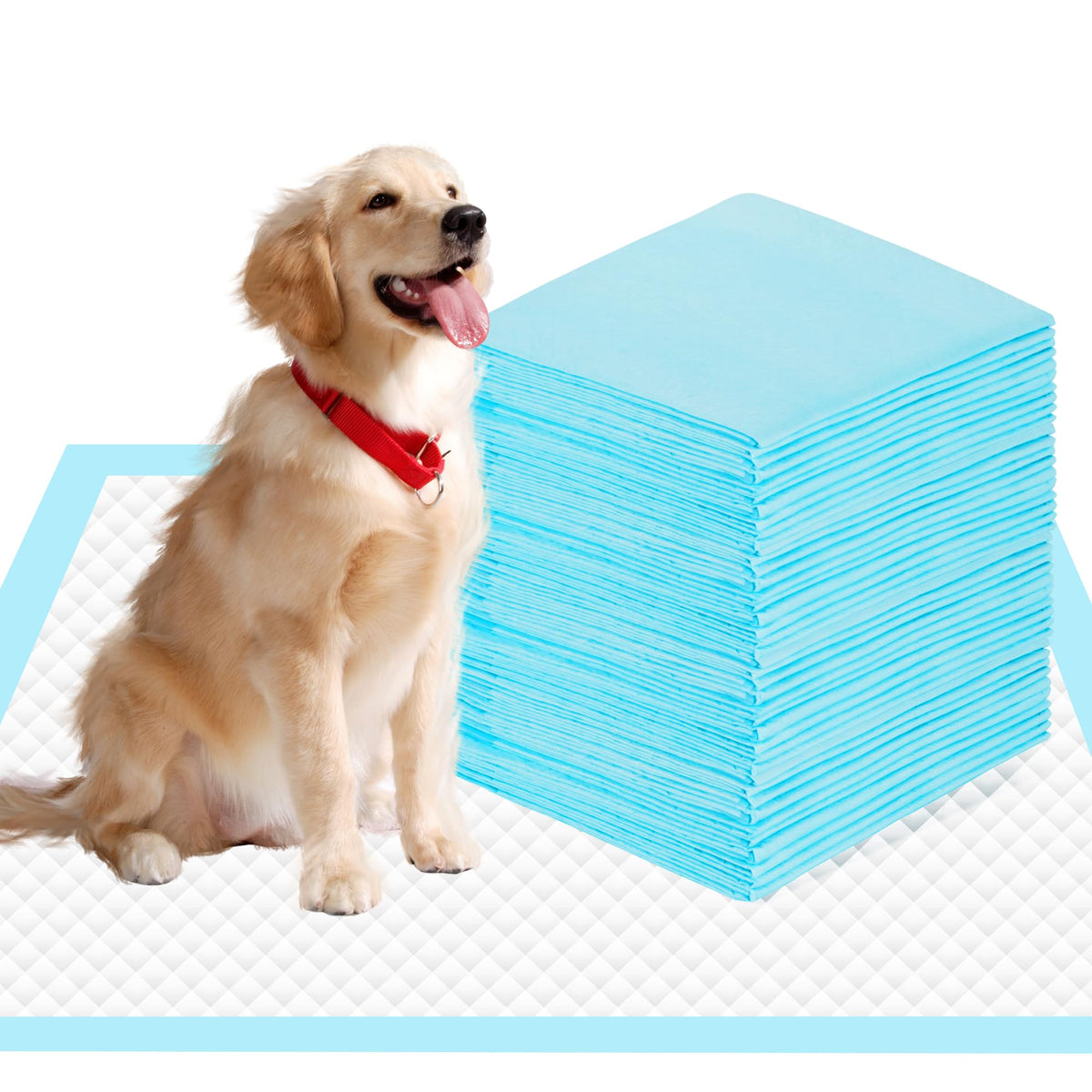SAP FRIENDLY vue avant du paquet montrant 10 tapis, protection immédiate