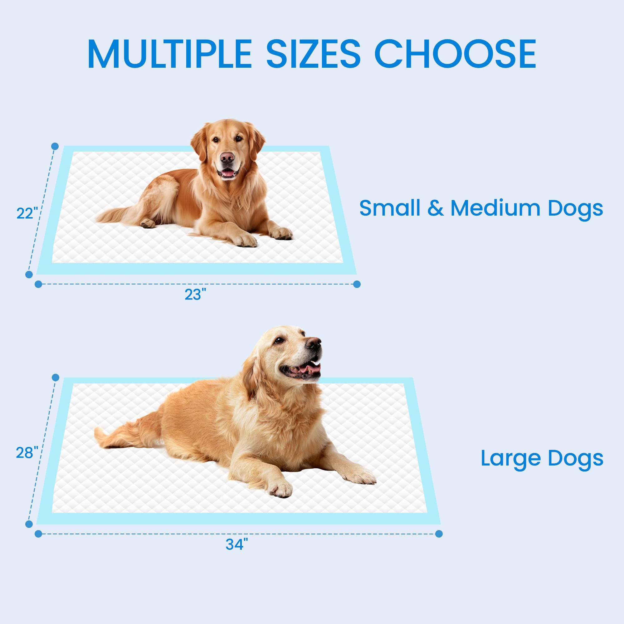 SAP FRIENDLY tapis à côté d'un chien pour montrer échelle et couverture