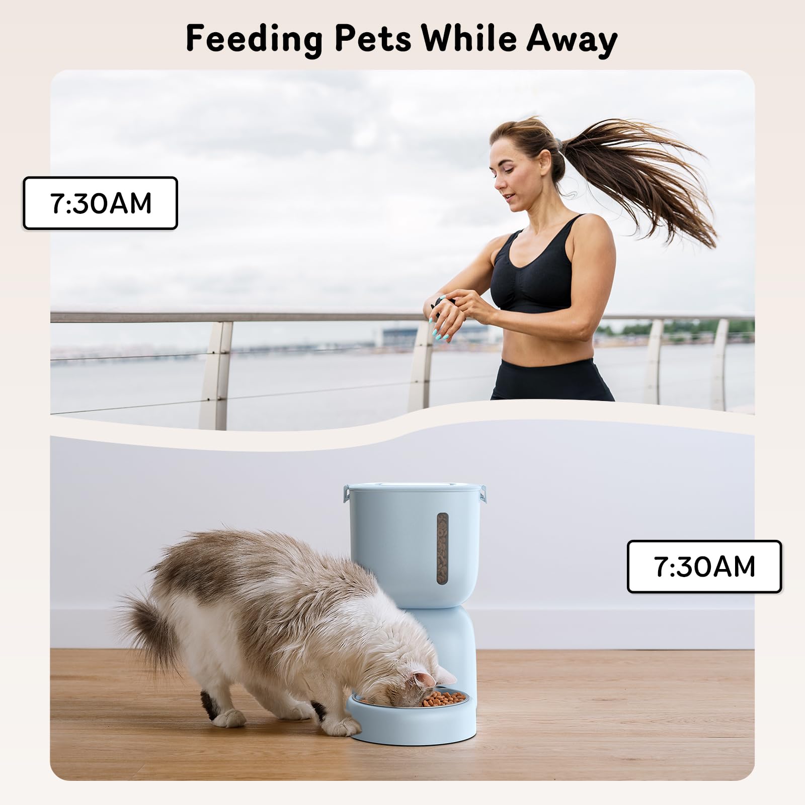 Sarpaws FW1 en salon avec chat mangeant, solution discrète et pratique pour la maison