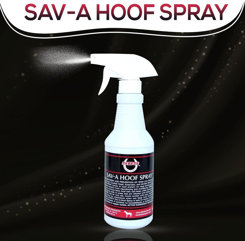 SAV-A-HOOF situation lifestyle cheval au box montrant usage quotidien