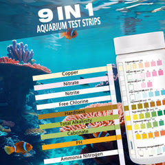 SaySummer bandelette gros plan montrant zones réactives et lecture précise