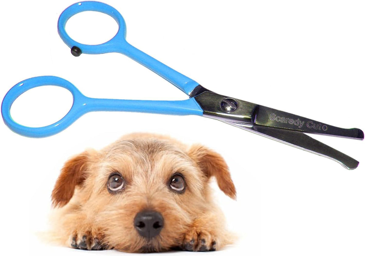 Scaredy Cut Tiny Trim face avant montrant le design bleu et bénéfice sécurité