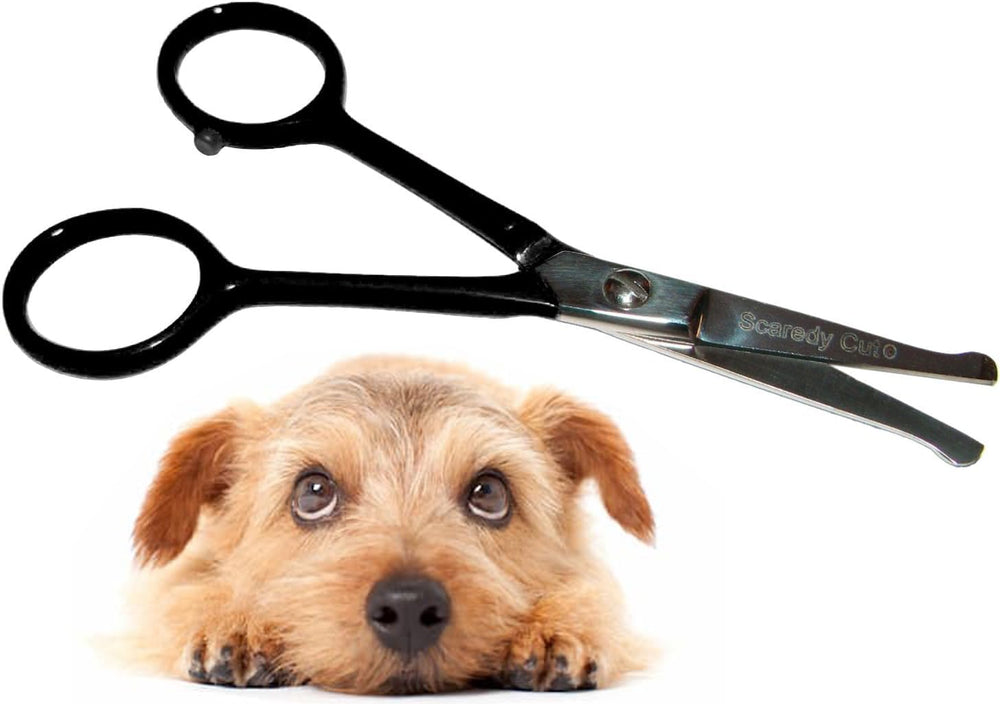Scaredy Cut Tiny Trim vue avant montrant la forme compacte et la sécurité
