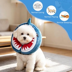 SCENEREAL collier en usage sur un chihuahua facilite boire et manger