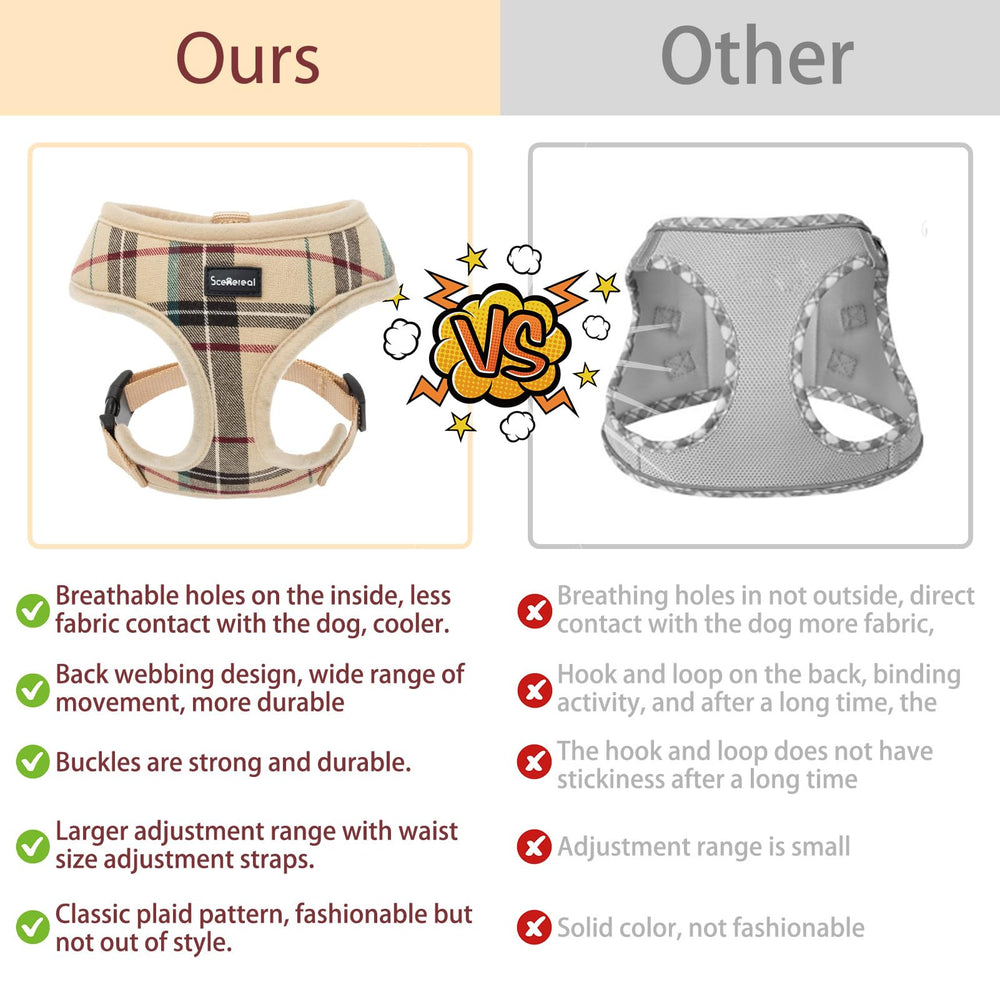 SCENEREAL style tartan beige lifestyle apportant look élégant au chien