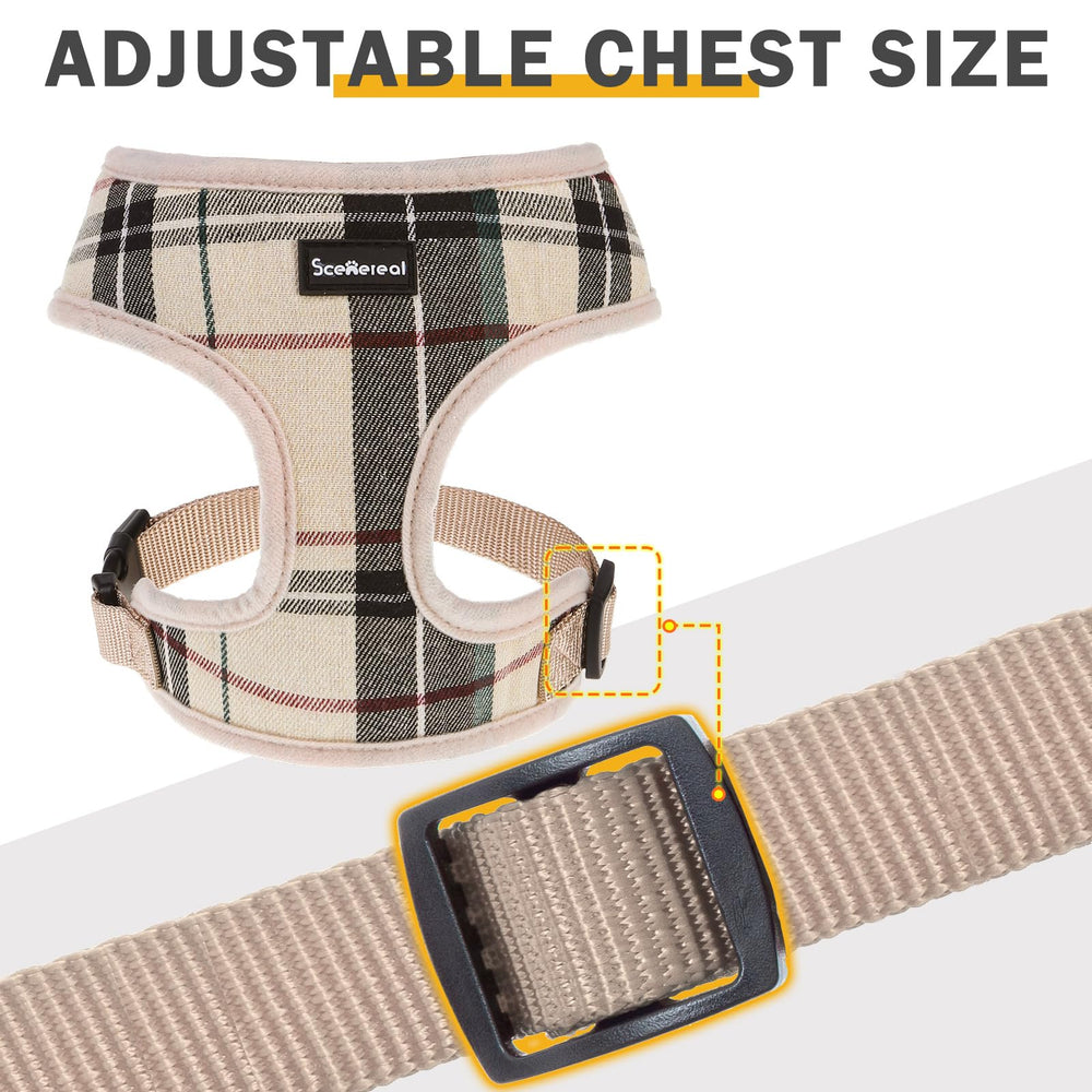 SCENEREAL comparaison taille chiot illustrant ajustement recommandé