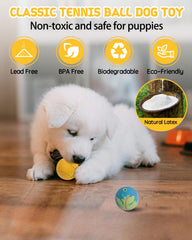 SCHITEC chiot joue avec balle montrant stimulation interactive