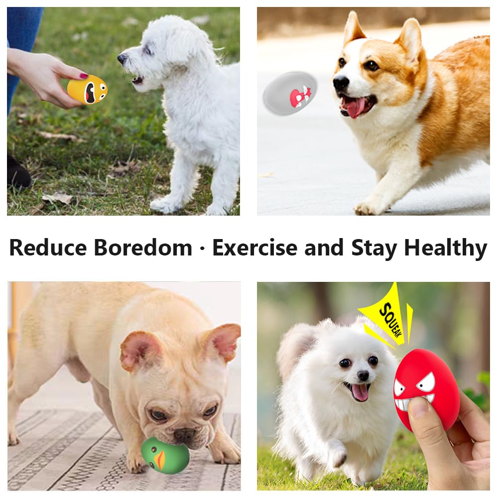 SCHITEC balle en rebond au parc augmentant l'excitation du chien