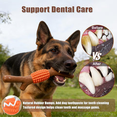 SCHITEC détail infusion d'érable naturel pour attirer chien