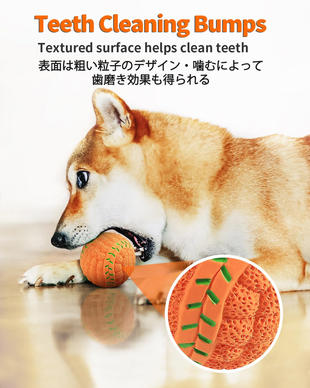 SCHITEC chien en plein jeu illustrant stimulation et exercice