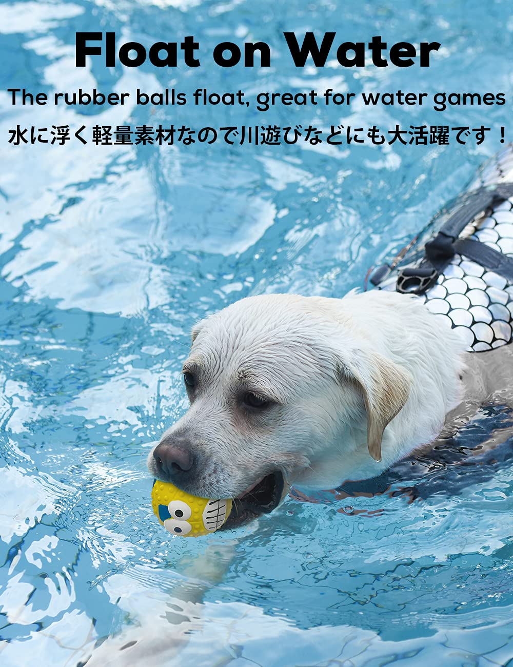 Chien jouant avec une balle SCHITEC rapportant pour interaction et amusement