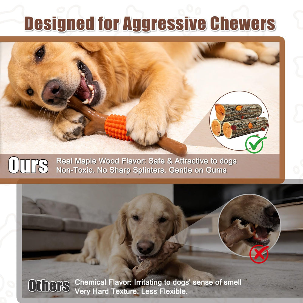 SCHITEC chien rapportant bâton en extérieur pour exercice actif