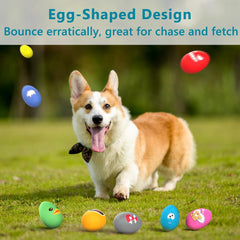 SCHITEC balle dans la bouche du chien encourage jeu et rapport