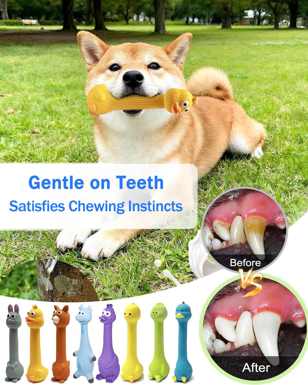 SCHITEC jouets dans jardin avec chien, favorise activité physique et stimulation