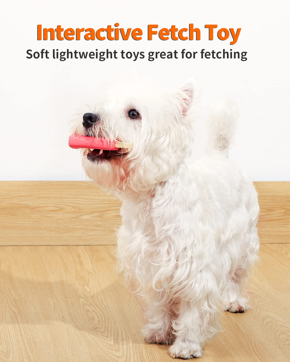 SCHITEC jouet en usage avec chiot, encourage exercice et jeu interactif