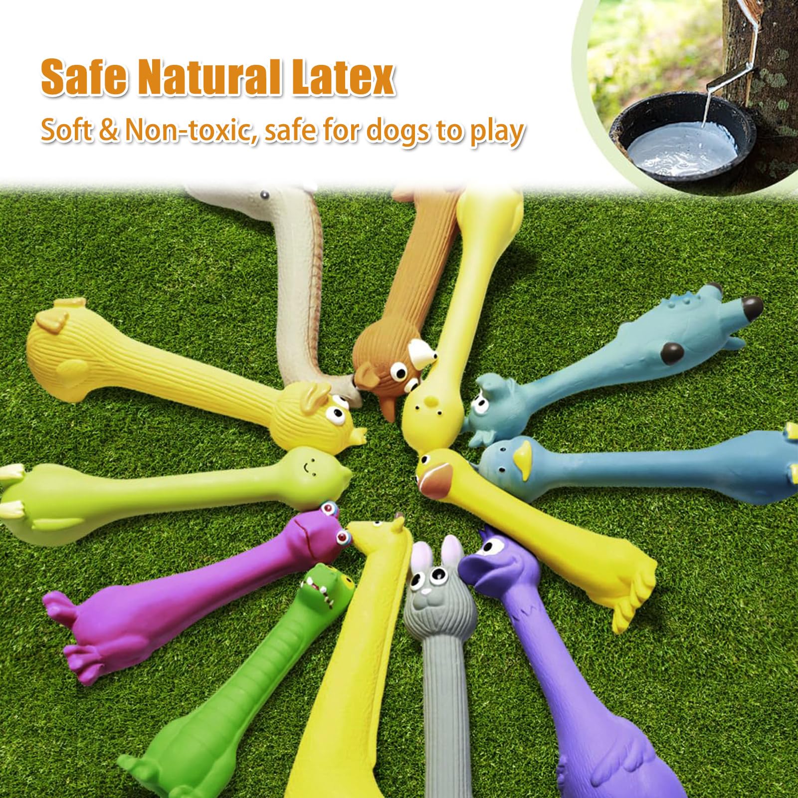 SCHITEC grenouille du petit ensemble, forme ludique pour chiots actifs