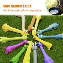 SCHITEC grenouille du petit ensemble, forme ludique pour chiots actifs