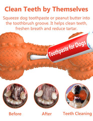 SCHITEC os en utilisation avec chien pour stimulation et jeu prolongé