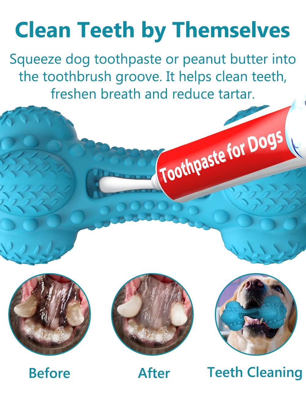 SCHITEC os squeaky rainure brosse détail pour ajouter pâte dentaire et nettoyer dents