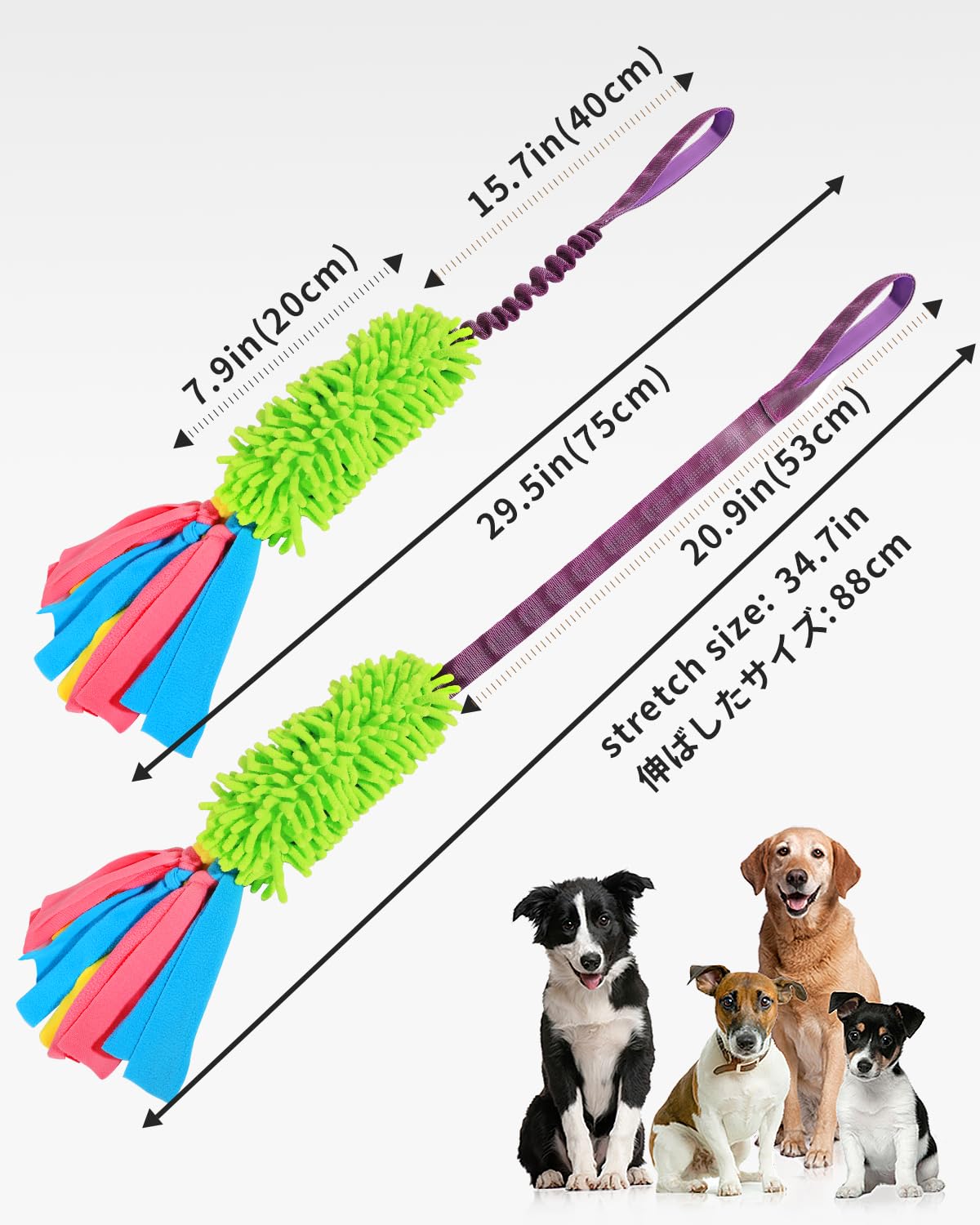 SCHITEC chien et propriétaire jouant au tir à la corde dans jardin sécurisé