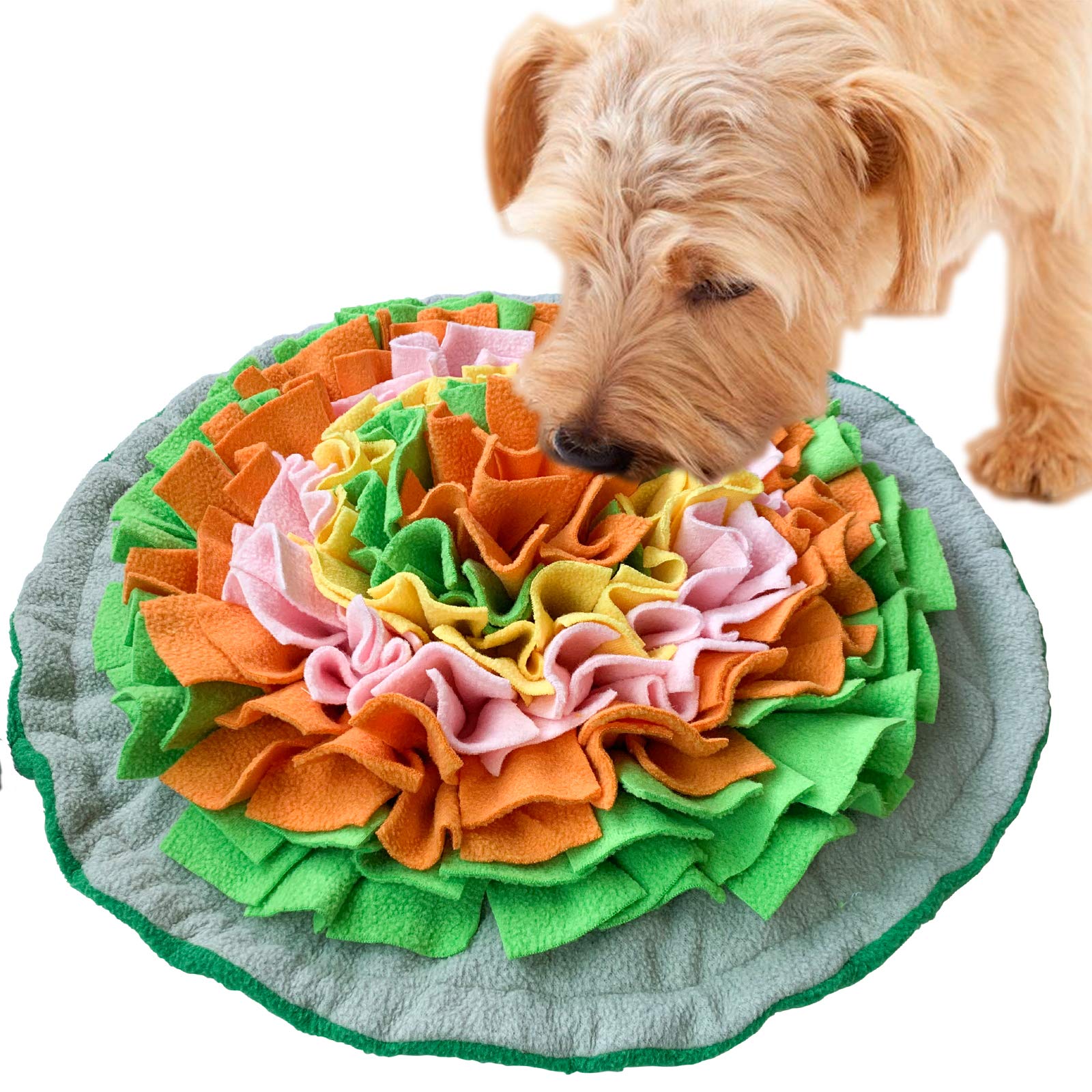 SCHITEC tapis de reniflage face avant montrant zones de fouille pour stimulation