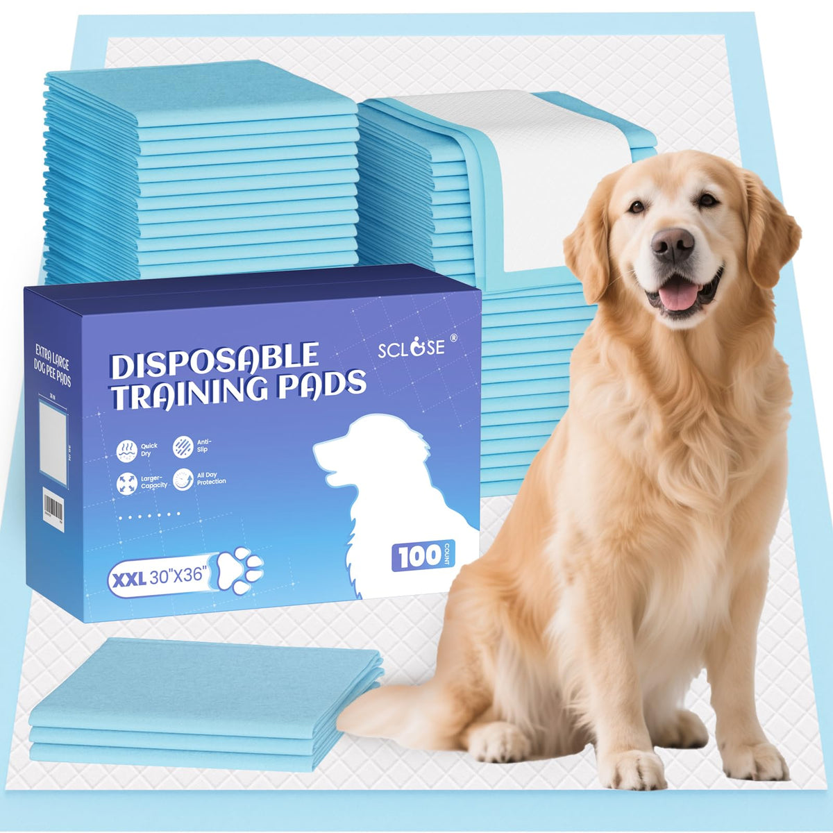 SCLOSE packaging avant affichant boîte de 100 unités pour rangement pratique