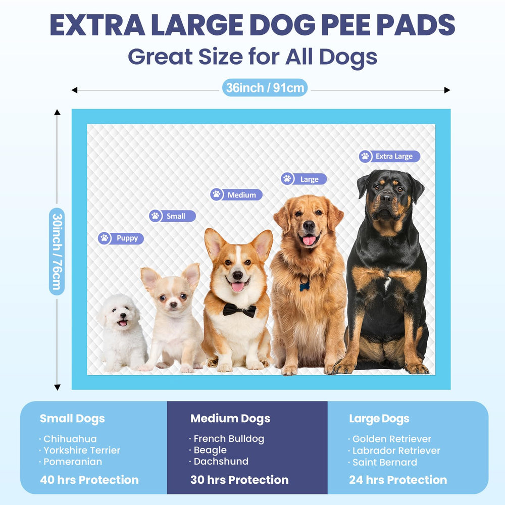 SCLOSE tapis placé dans une cage illustrant utilisation sécurisée