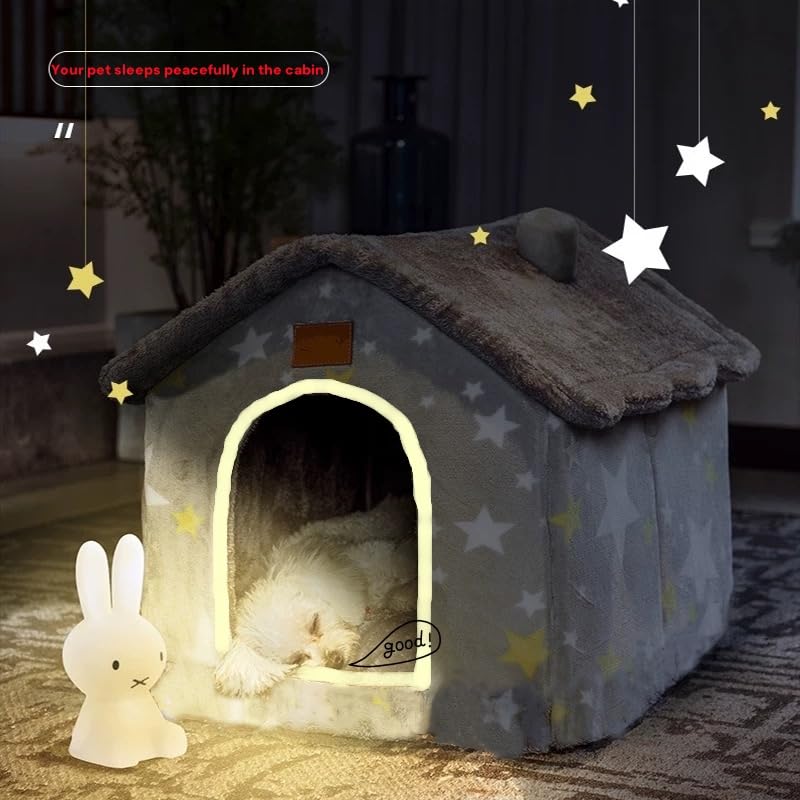 scnbom comparaison taille avec un chaton pour choix de taille