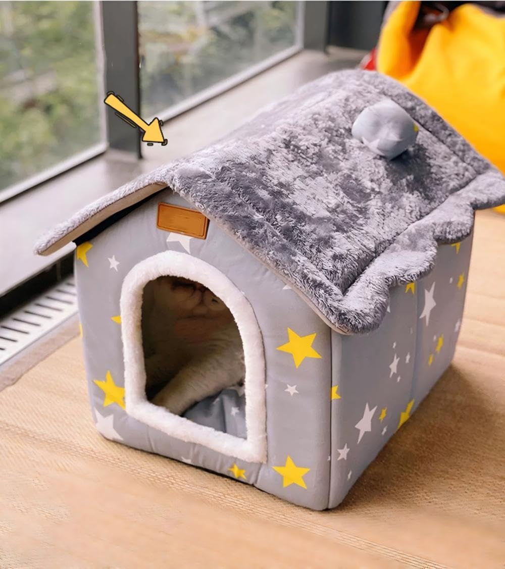 scnbom intérieur accueillant avec un petit chien qui se blottit