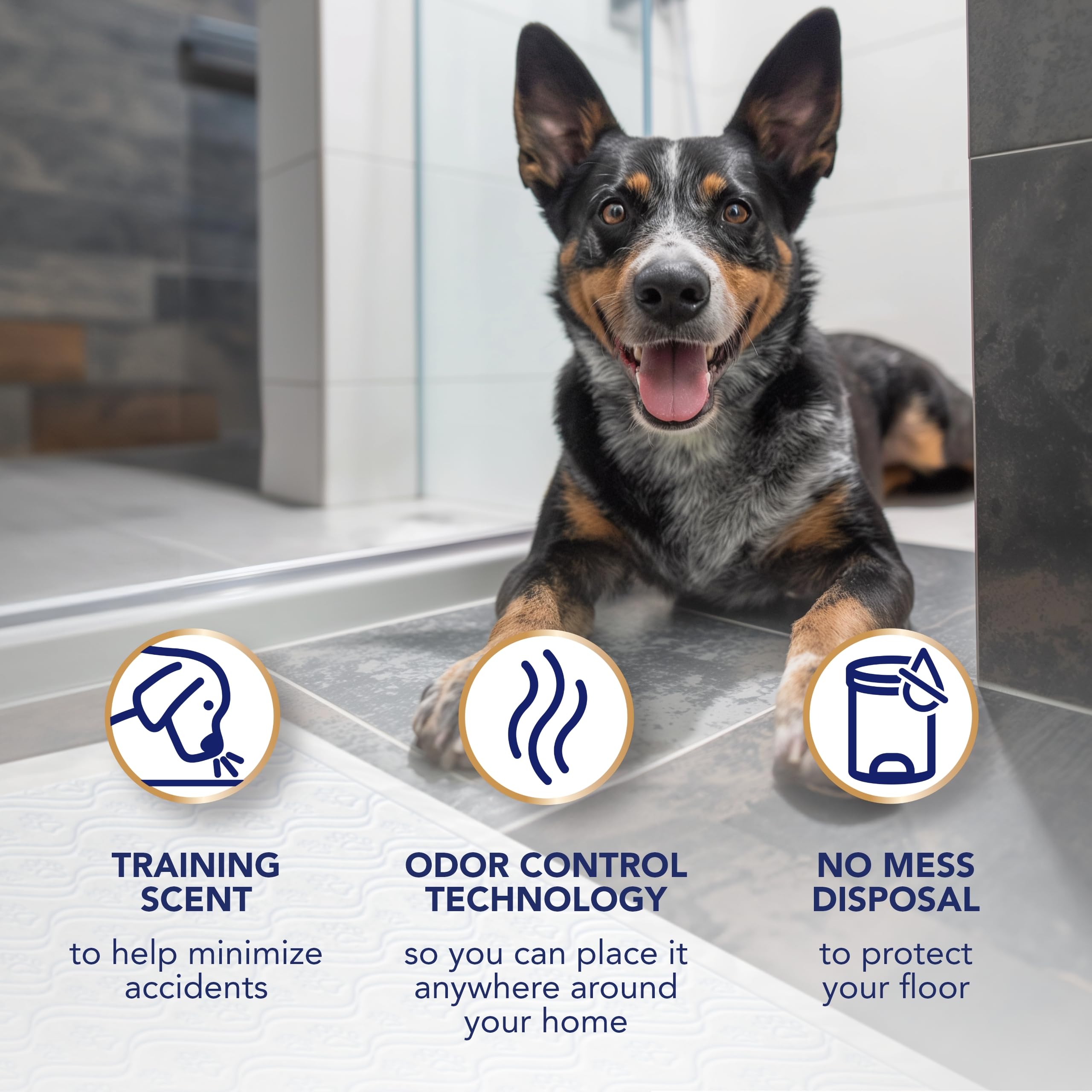 Scott Pet Guard comparaison d'échelle mettant en valeur la taille XL pratique
