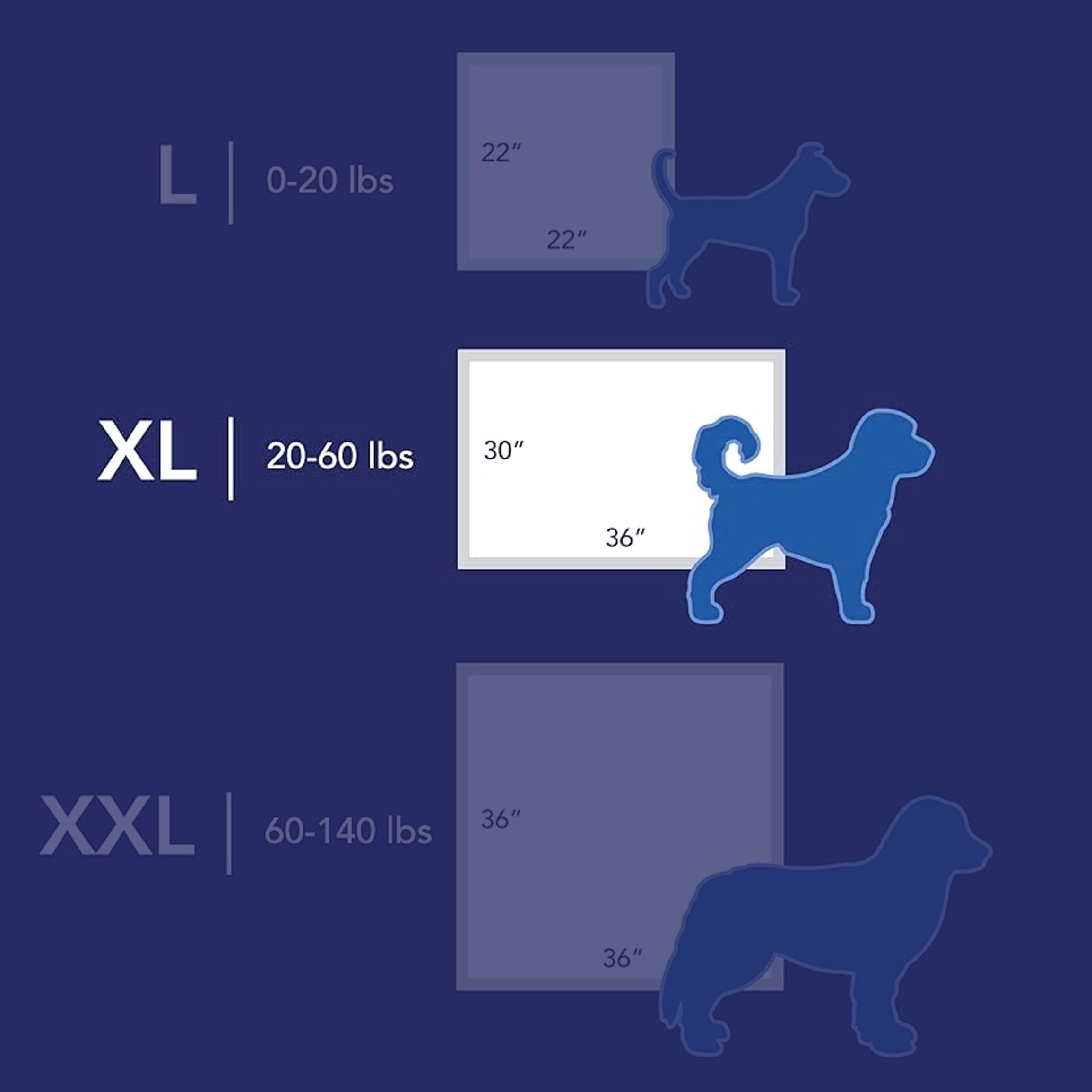 Scott Pet Guard tapis déployé en taille XL offrant une grande surface d'entraînement