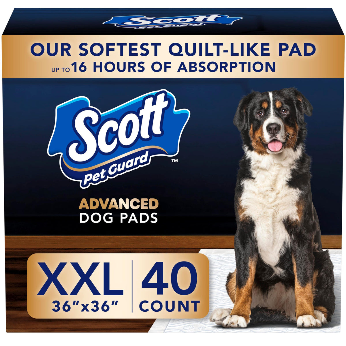 Scott montrant l'avant du paquet pack de 40, gain de temps et rangement