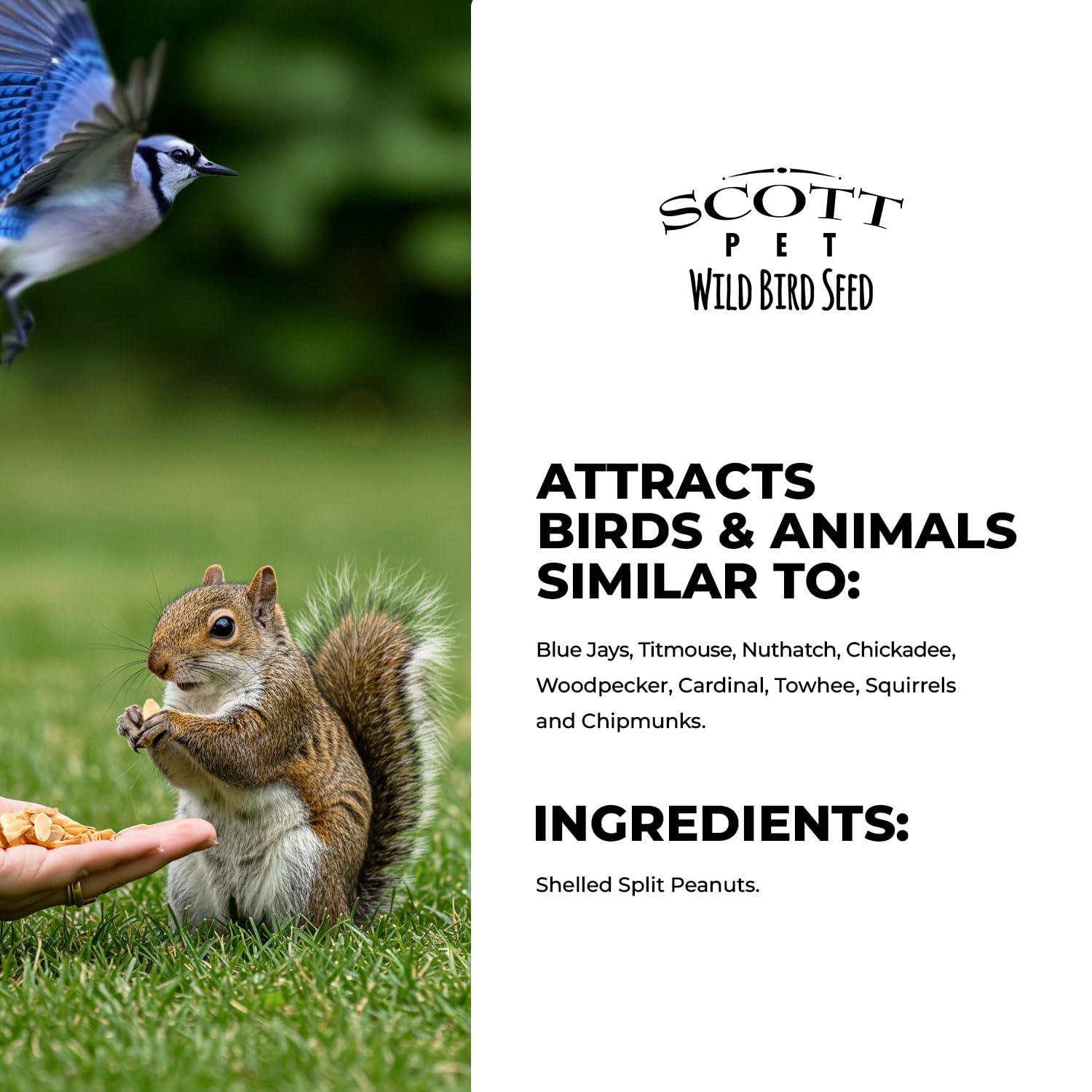 Scott Pet sac avec fermeture Pour & Lok montrant conservation pratique