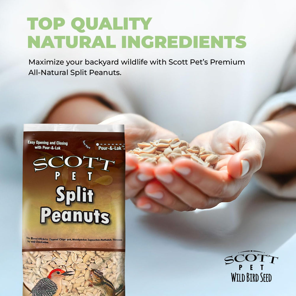 Scott Pet zoom sur cacahuètes fendues montrant facilité de consommation