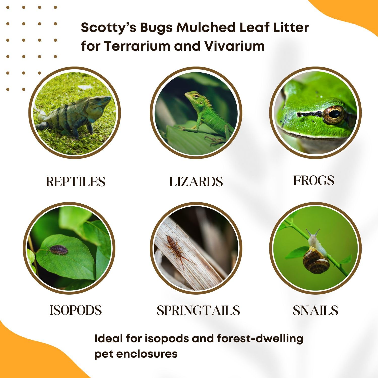 SCOTTY'S BUGS étiquette lisible indiquant feuilles organiques stérilisées