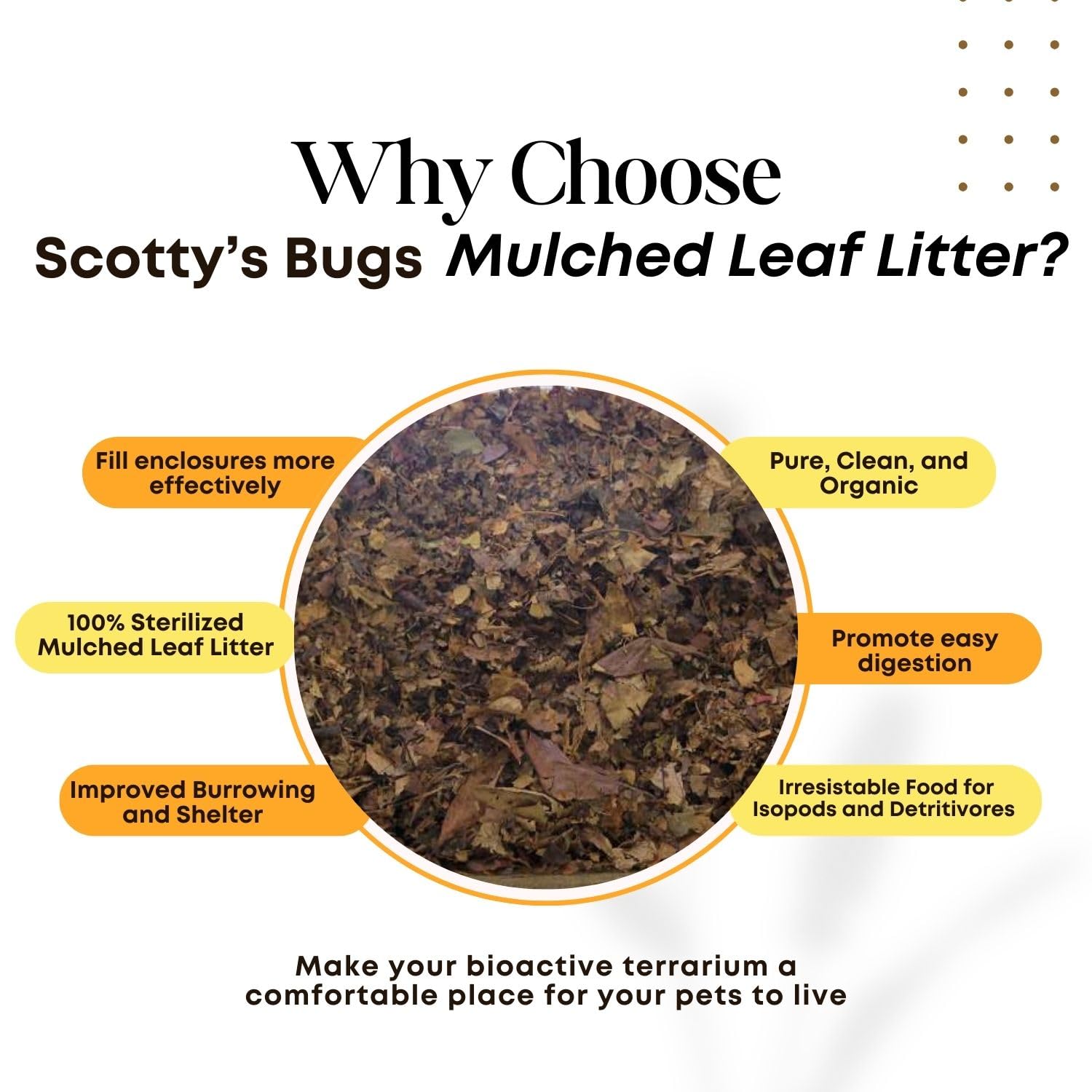 SCOTTY'S BUGS gros plan de la texture broyée bénéfice décomposition rapide