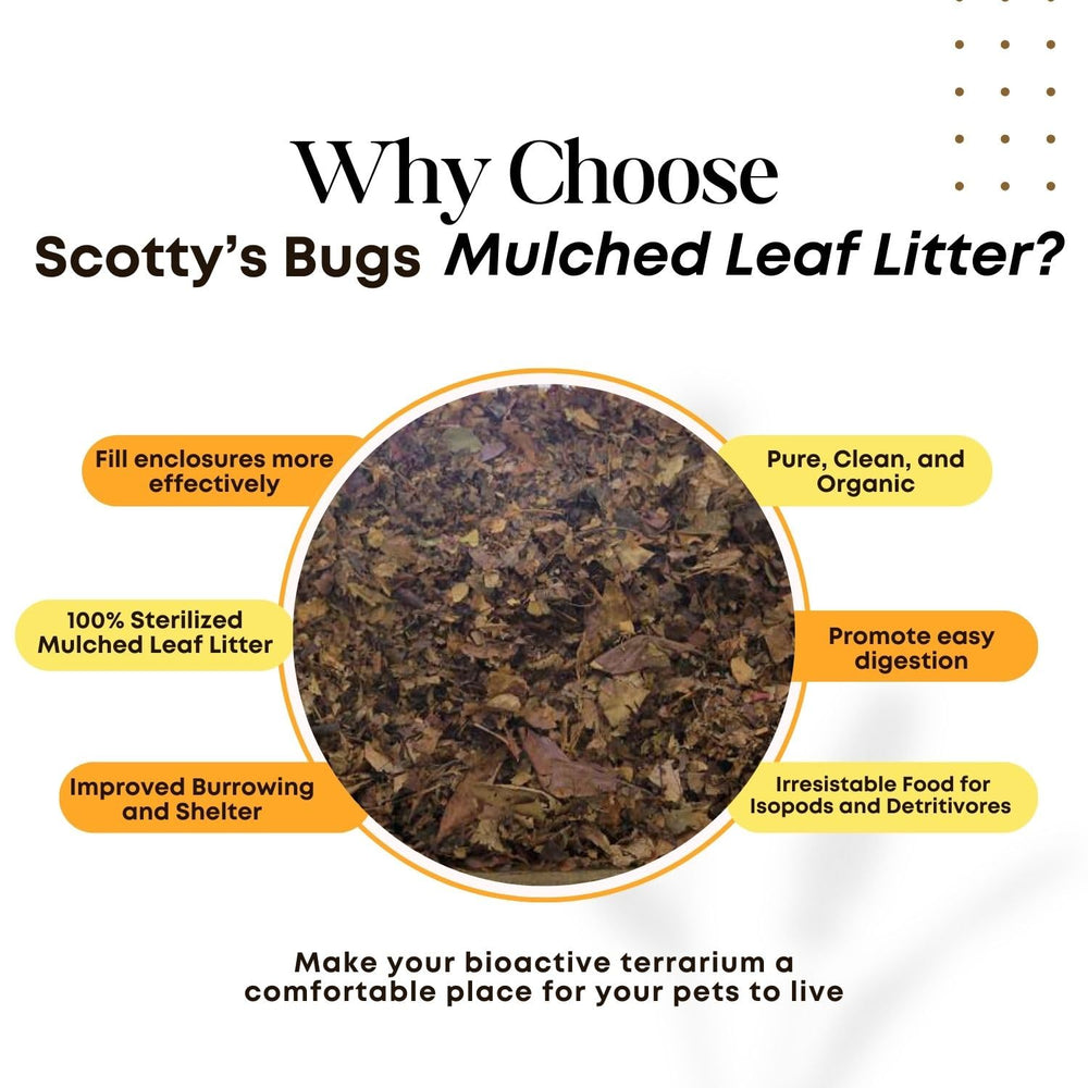 SCOTTY'S BUGS gros plan de la texture broyée bénéfice décomposition rapide