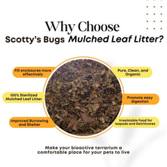 SCOTTY'S BUGS gros plan de la texture broyée bénéfice décomposition rapide