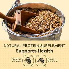 Scratch and Peck Feeds étiquette nutritionnelle lisible, informations claires pour choix éclairé