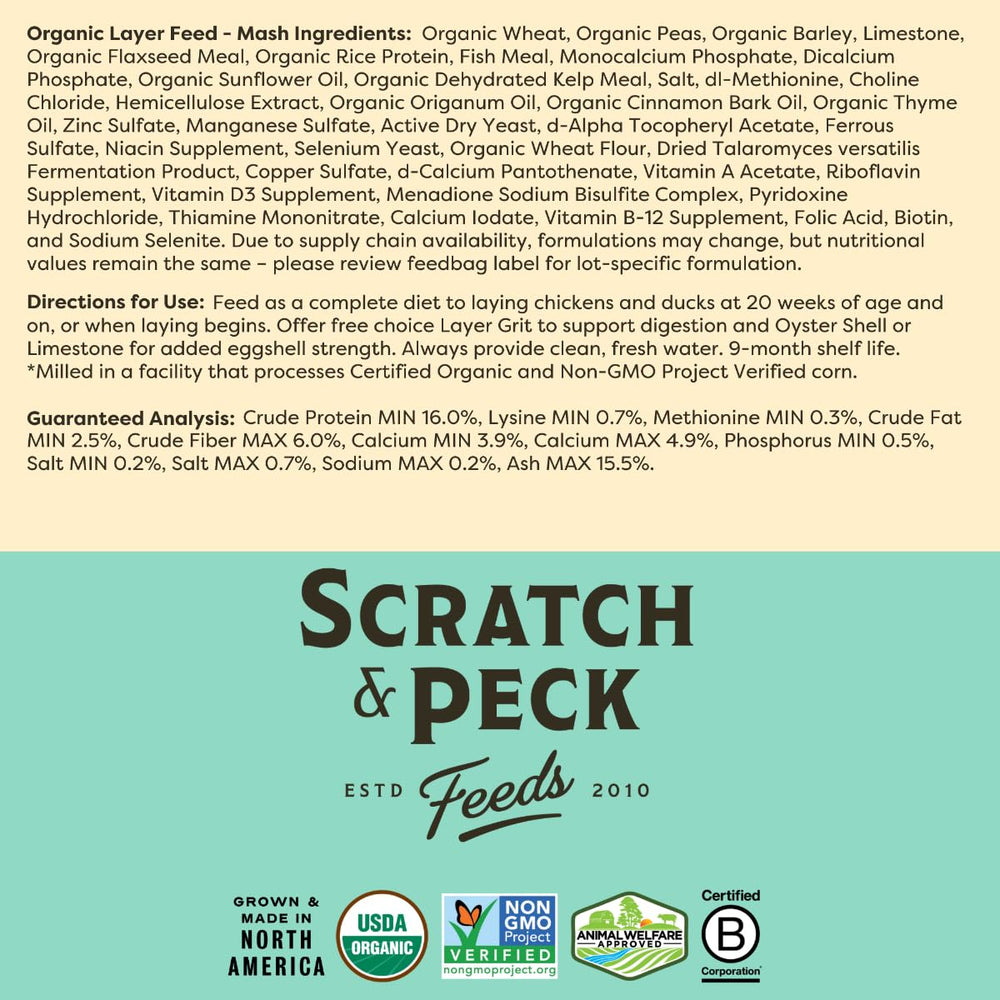 Scratch and Peck Feeds dans poulailler poules mangeant bénéfice santé et vitalité