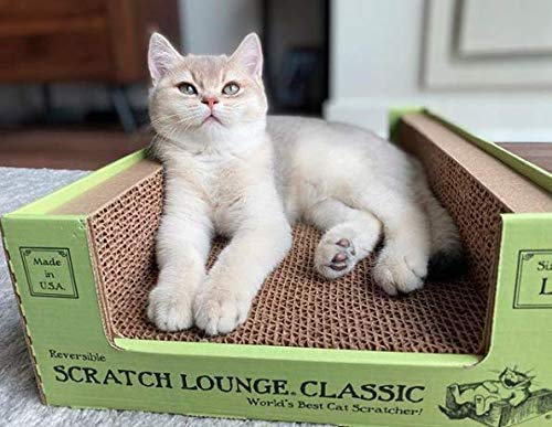 Scratch Lounge étiquette indiquant fabrication aux États-Unis et sécurité des matériaux