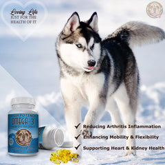 ScruffyPet bouteille ouverte avec gélules pour dosage quotidien pratique