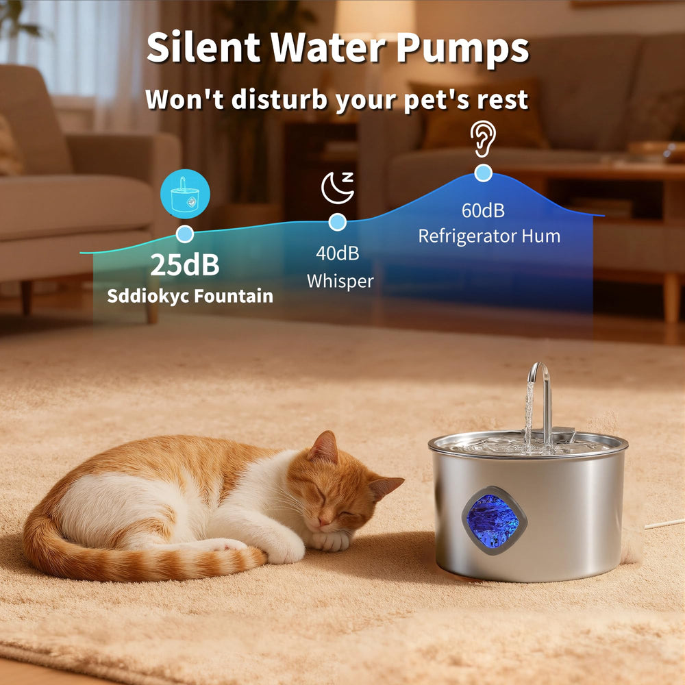 Sddiokyc fontaine en situation avec chat buvant encouragent hydratation régulière