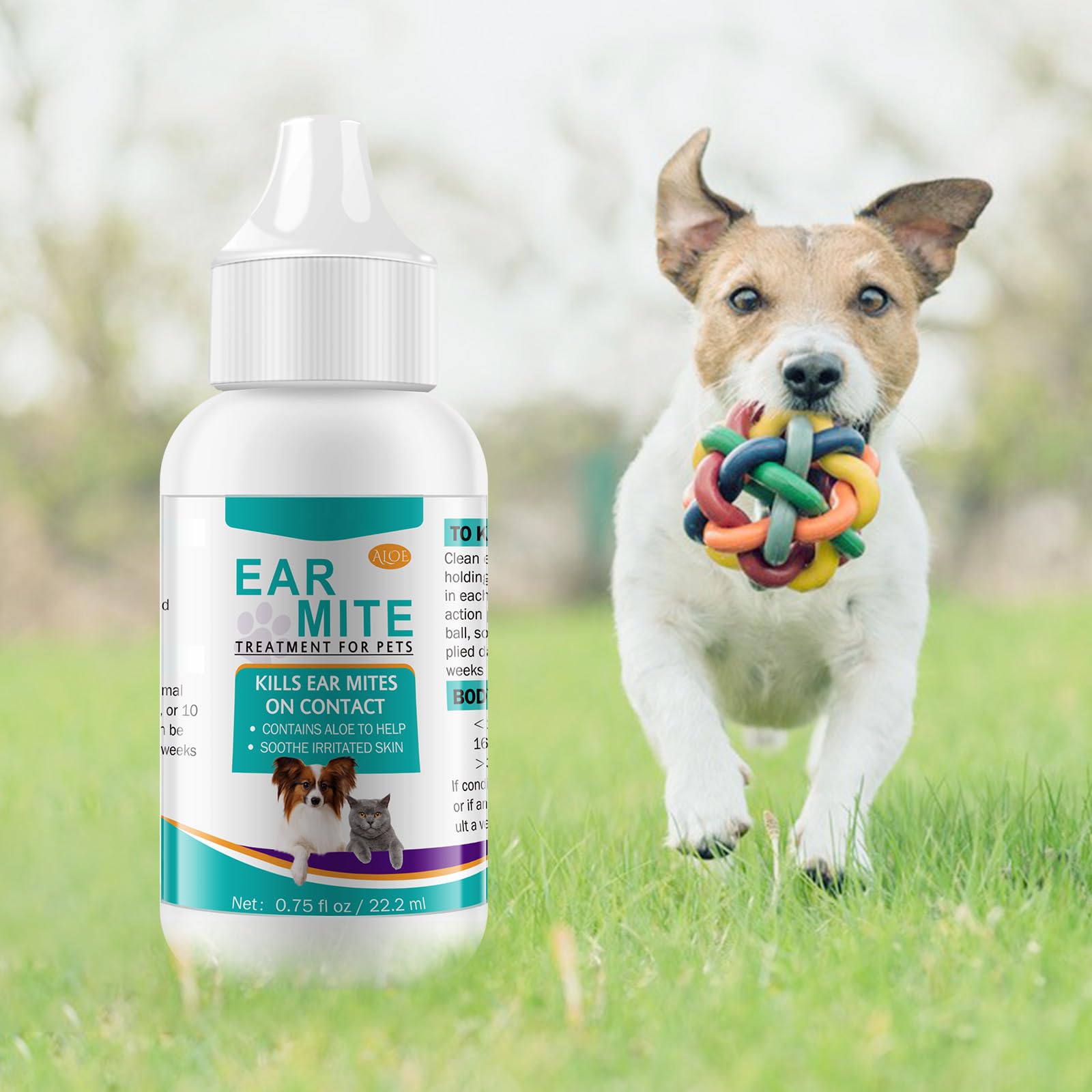 SDJUFEI moment de soin lifestyle montrant routine apaisante pour animal