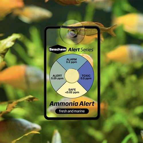 Seachem Alerts gros plan du capteur montrant changement de couleur et lisibilité rapide
