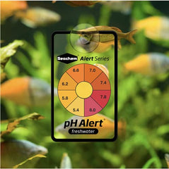Seachem Alerts en usage dans aquarium démontrant installation simple et alerte visuelle