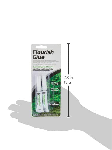 Seachem Flourish Glue en usage dans un aquarium pour fixer plante et décor rapidement