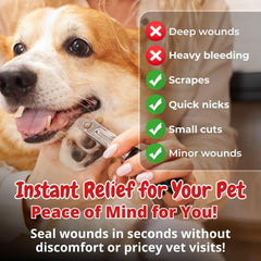 Seal It application sur chien arrêt rapide du saignement localisé