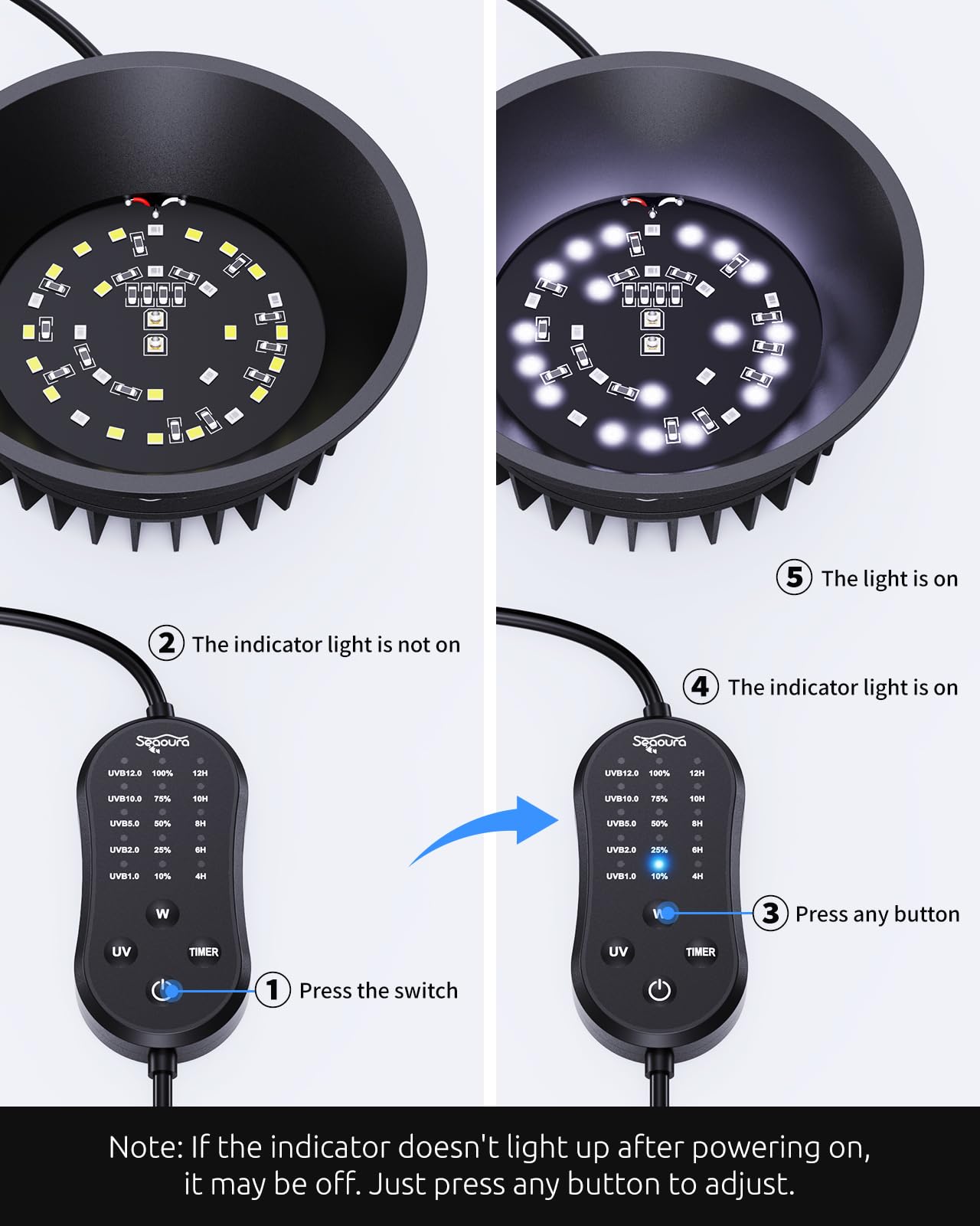 SEAOURA comparaison taille avec terrarium montrant encombrement réduit