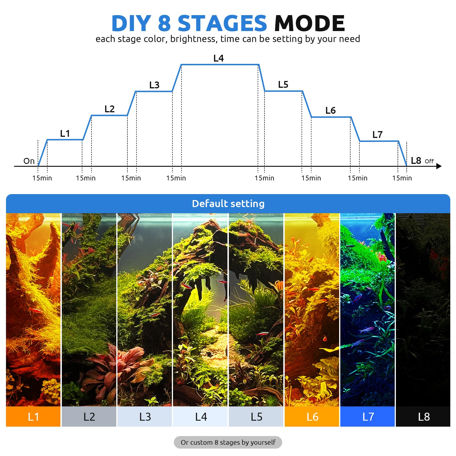 SEAOURA éclairage sur aquarium planté, met en valeur couleurs et contraste